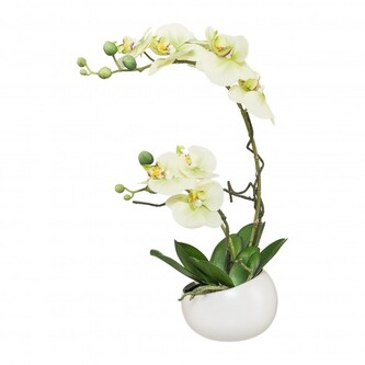 Orchidej v květináči, 42 cm  115812-50