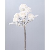Růže kytička zasněžená  510-0035