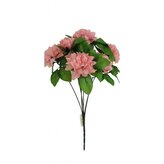 Chryzantéma svazek starorůžová  AB021/star.