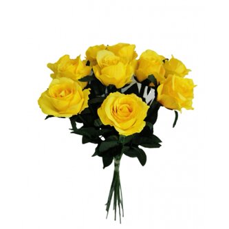 Růže sytě žlutá, 12 ks  AF001/sytě žl.