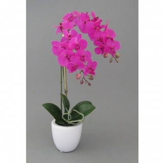 Orchidej v květináči, 43 cm  1116010-83