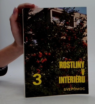 Rostliny v interiéru 3