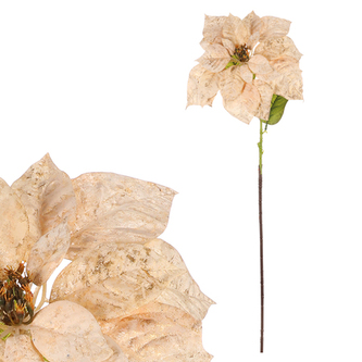 Poinsécie, vánoční růže - umělý květ na stonku, barva krémová.