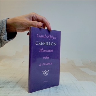 Blouznění srdce a rozumu