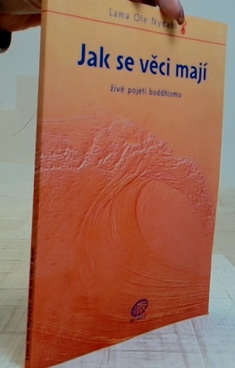 Jak se věci mají živé pojetí buddhismu