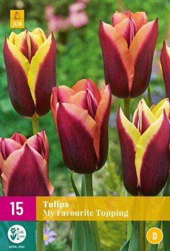Karta XXL - Tulipán - My Favourite Topping (15 cibulí) "E"