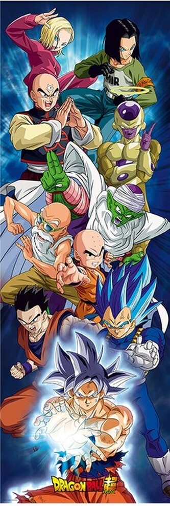 Plakát, Obraz - Dragon Ball Super - Group, 53 × 158 cm