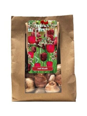 Taška - Color your garden - Red blush (25 cibulí)