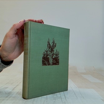 O lesích a o myslivcích