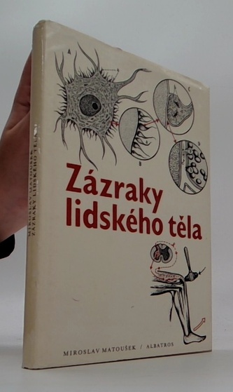 Zázraky liského těla