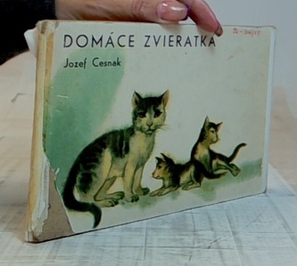 Domáce zvieratká