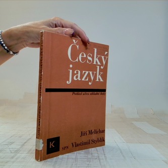 Český jazyk