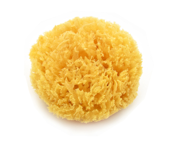 164 MAGNUM Mycí mořská houba z Karibiku cca. 10 - 12 cm