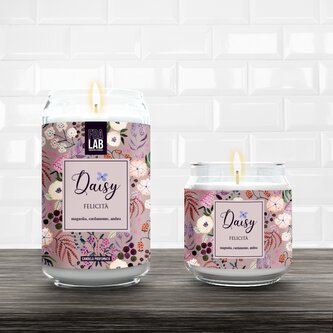 Vonná svíčka Felicita velká