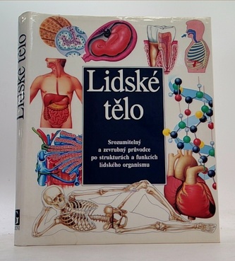 Lidské tělo