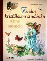 Obrázek knihy