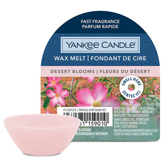 WAX YC WAX MELT DESERT BLOOMS 1750737E