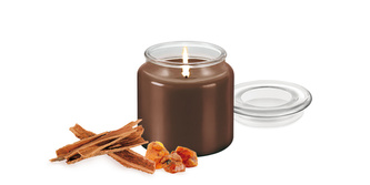TESCOMA Vonná svíčka FANCY HOME 410 g, Orient