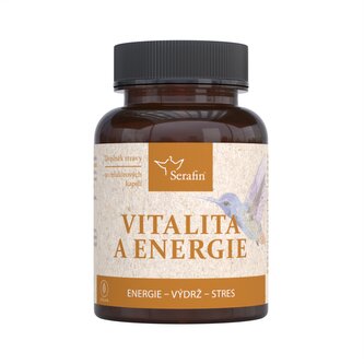 Vitalita a energie 90 ks kapslí