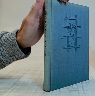 V Německém zajetí