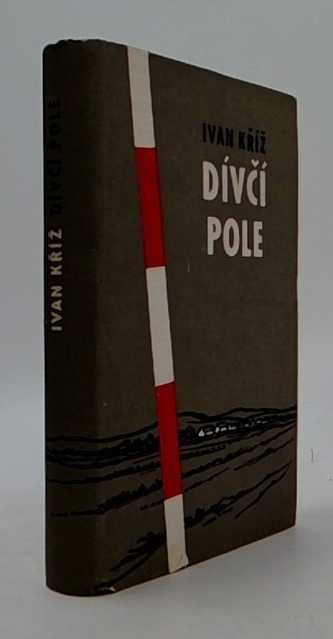 Dívčí pole