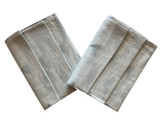 Svitap Utěrka Extra savá 50x70 cm Kapradí 3 ks