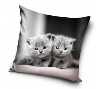 Carbotex Povlak na polštářek Kočičí dvojčata 40x40 cm