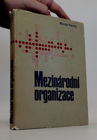 Mezinarodni organizace