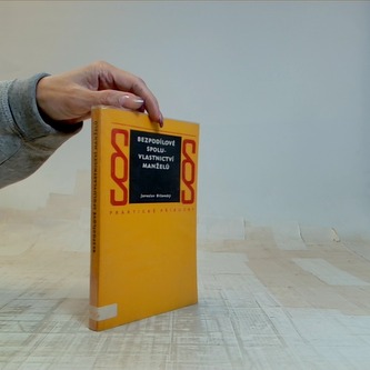 Bezpodílové spoluvlastnictví manželů