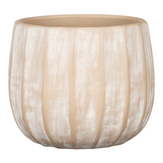 Obal 784 Washed cream 25