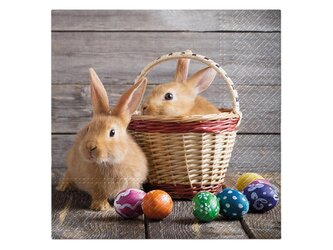 ubrousek P 33x33 velikonoce TL703500 2011070 ubrousek P 33x33 velikonoce TL703500 2011070