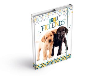 desky na sešity box A4 Pes 8020929