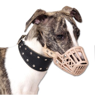 Náhubek Safeguard č.2 - Pudl toy