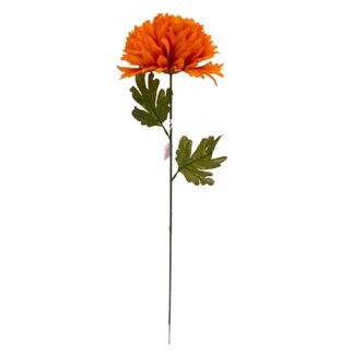 Chryzantéma velká, nová  K153/K023/ TT NEW BROWN