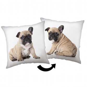 Jerry Fabrics Polštářek Bulldog 40x40 cm