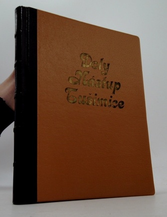 Doly Nástup Tušimice