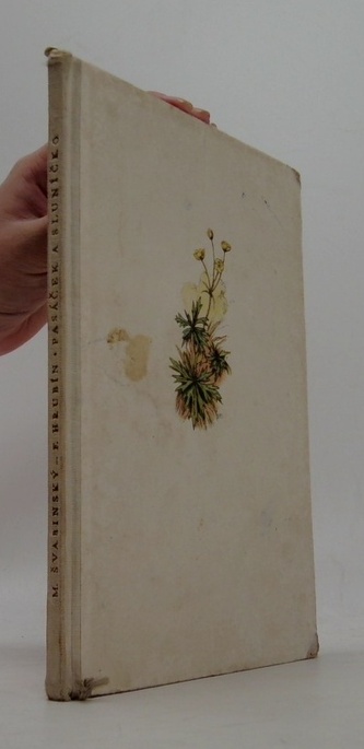 Pasáček a sluníčko