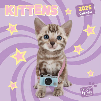 Oficiální nástěnný kalendář 2025 16 měsíců: Kočky|Koťata (30 x 30|60 cm)