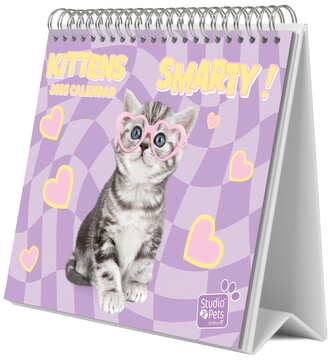 Stolní kalendář 2025: Koťata (20 x 17 cm)