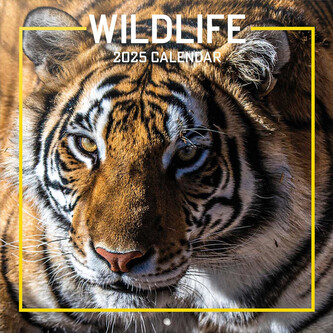 Oficiální nástěnný kalendář 2025 16 měsíců: Wild Life (30 x 30|60 cm)
