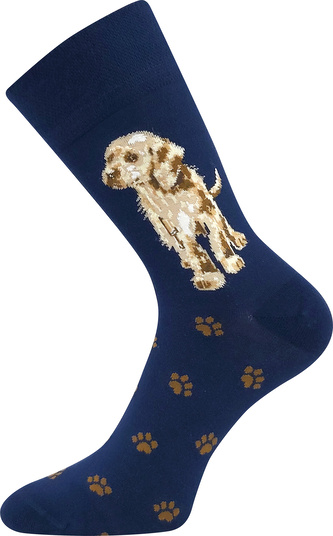 Lonka® ponožky Foxana pes 39-42 (26-28) 3 páry