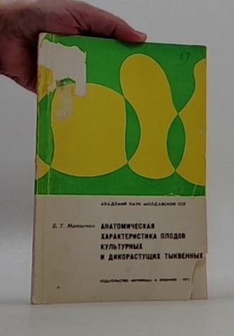Анатомическая характеристика плодов культурных и дикорастущих ты