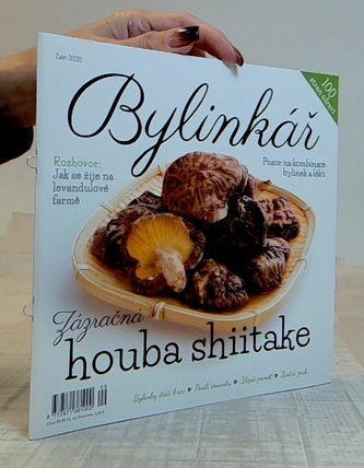 Bylinkář 9/2020: Zázračná houba shiitake