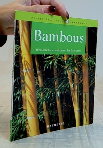 Bambous - Bien acheter et entretenir les bambous (francouzsky)