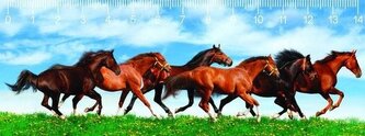 Pravítko 3D - Horses in green field deep Pravítko 3D - Horses in green field deep