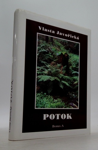 Potok