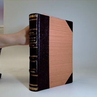 České dějiny. Dílu II. část 6., - Čechy v době Husově (1378-1415)