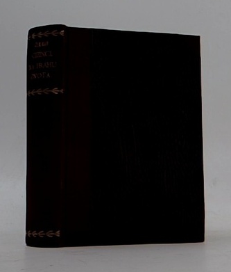 Cizinci, Na prahu života