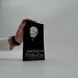 Saténový střevíček