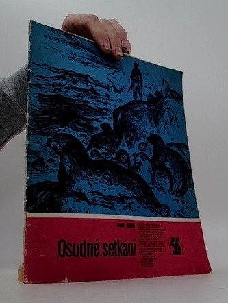 Osudné setkání